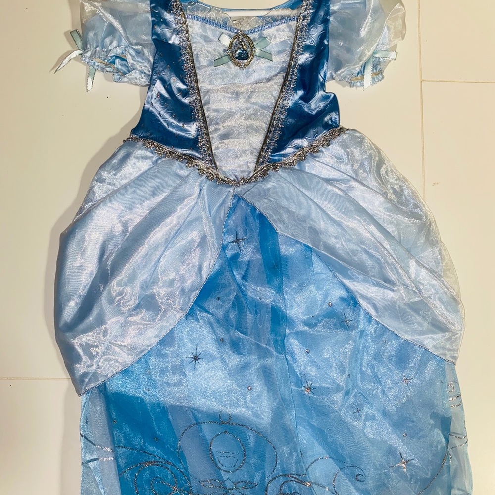 Cinderella Dress